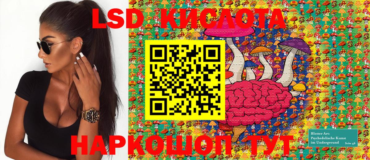 ГАШ Михайловск