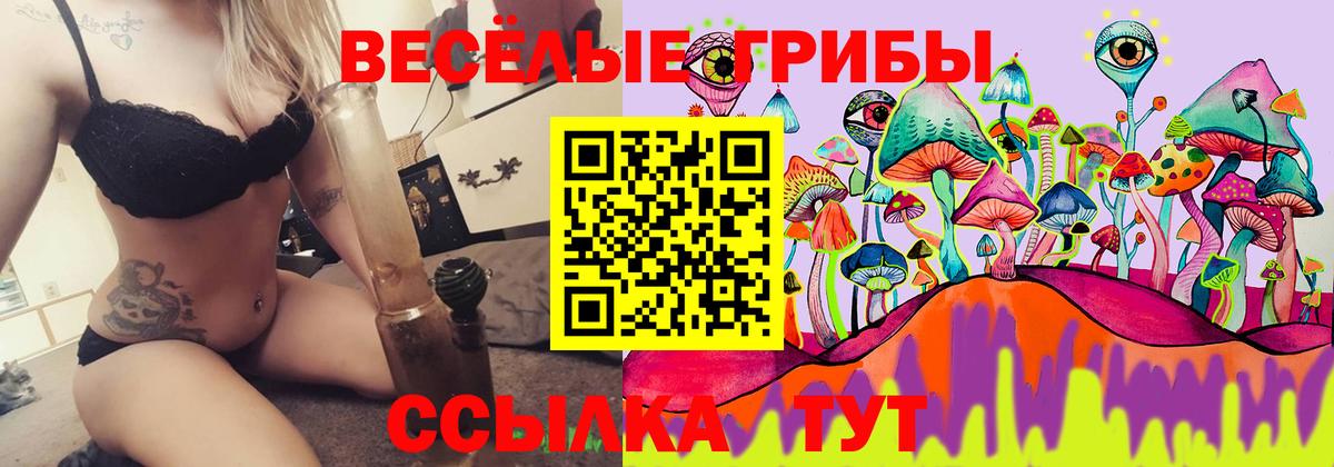 Псилоцибиновые грибы мицелий  Вход с VPN  Михайловск  Галлюциногенные грибы мицелий 